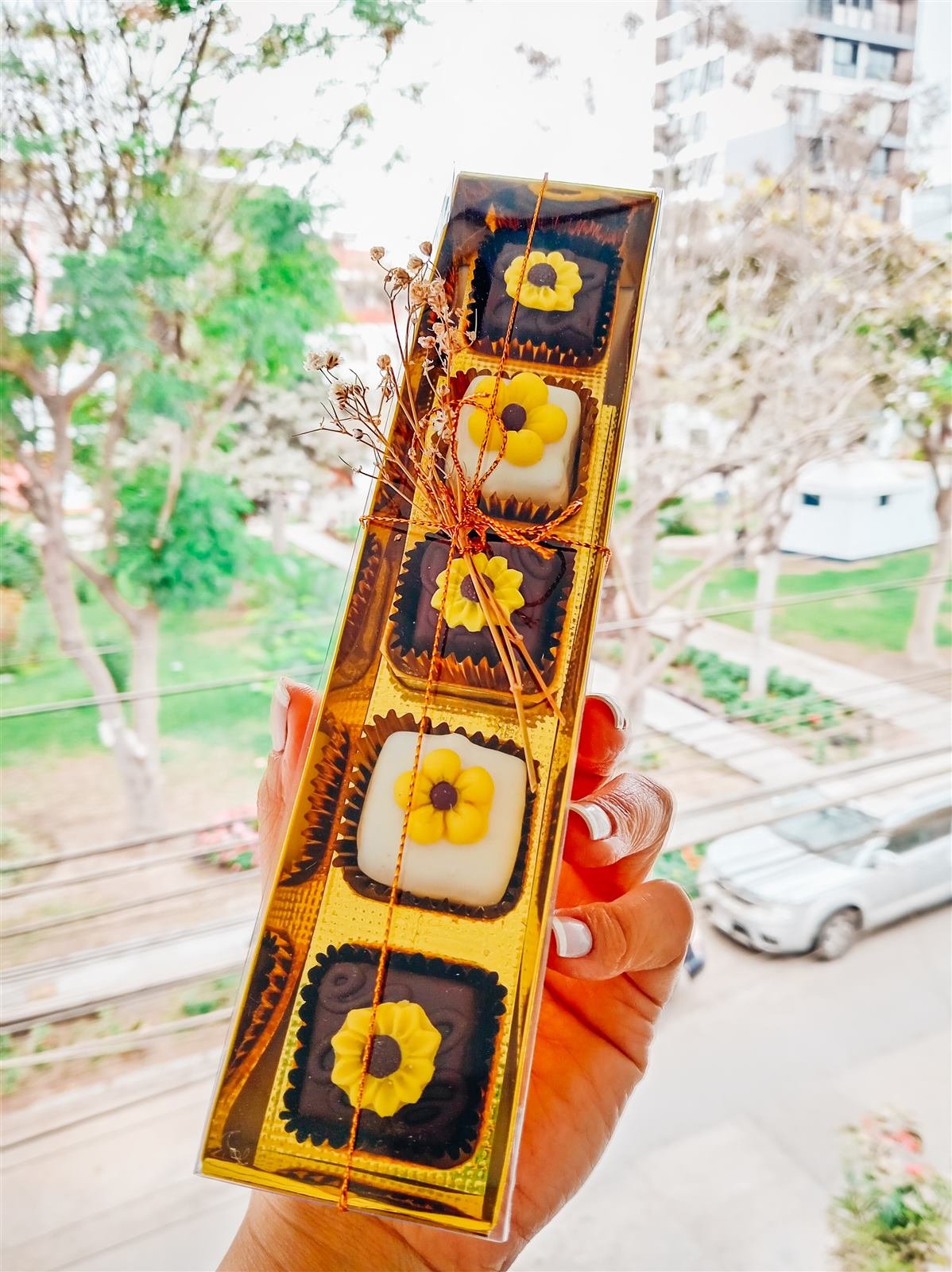 Box Trufas x5 Valkiria